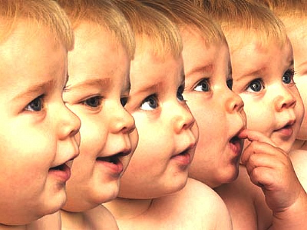 Production line of six human baby clones