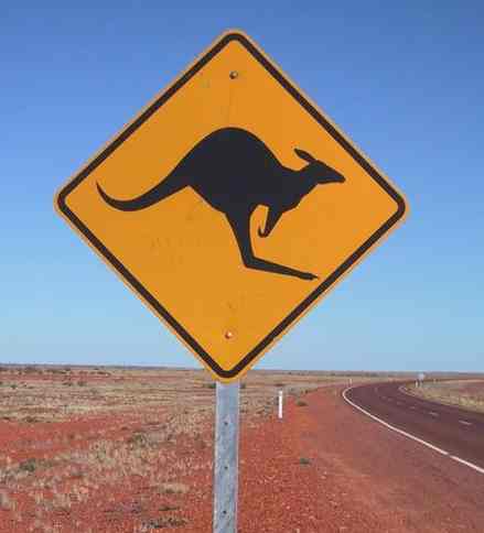 A "kangaroo crossing" sign on an Australian highway (Stuart)