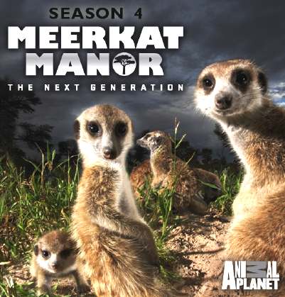 Meerkat Manor - Animal Planet