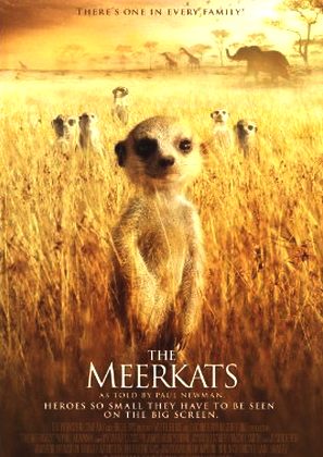 The Meerkats - film poster