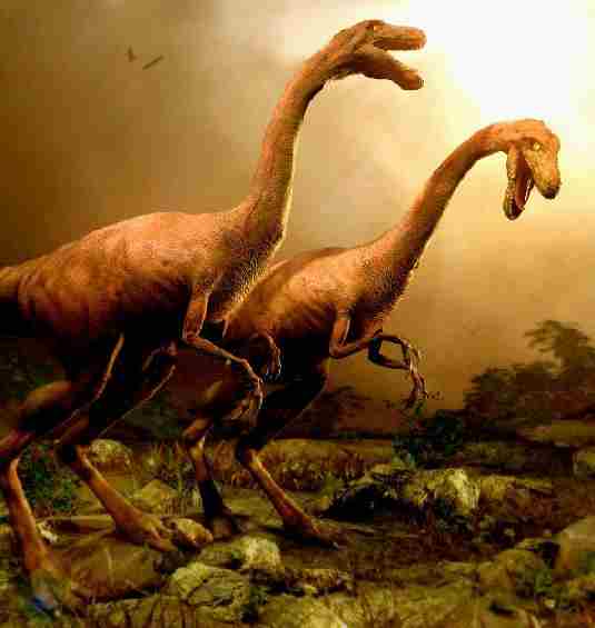 Prehistoric dinosaur scene