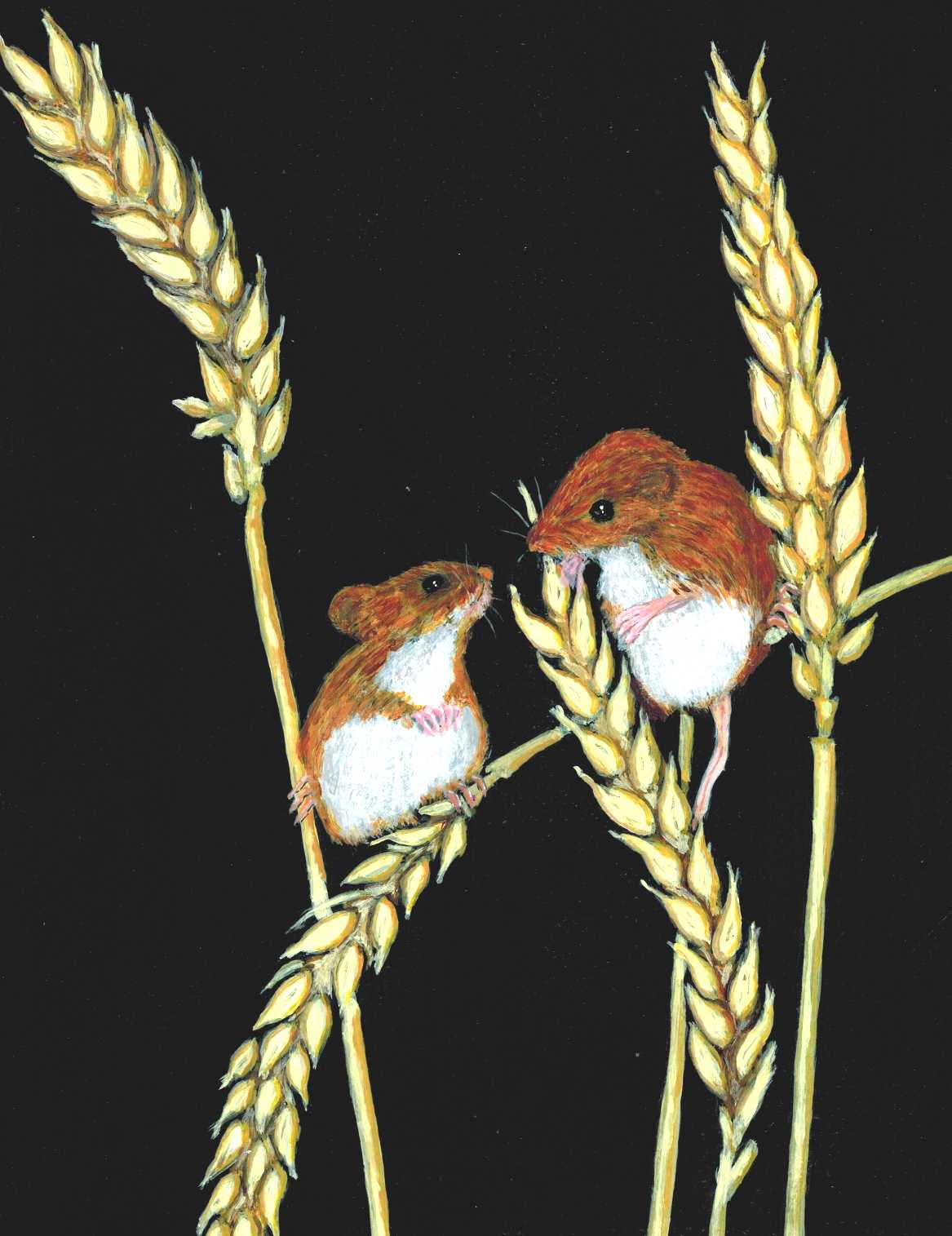 Original painting by Nelson Kruschandl, Field Mice, acrylic on paper