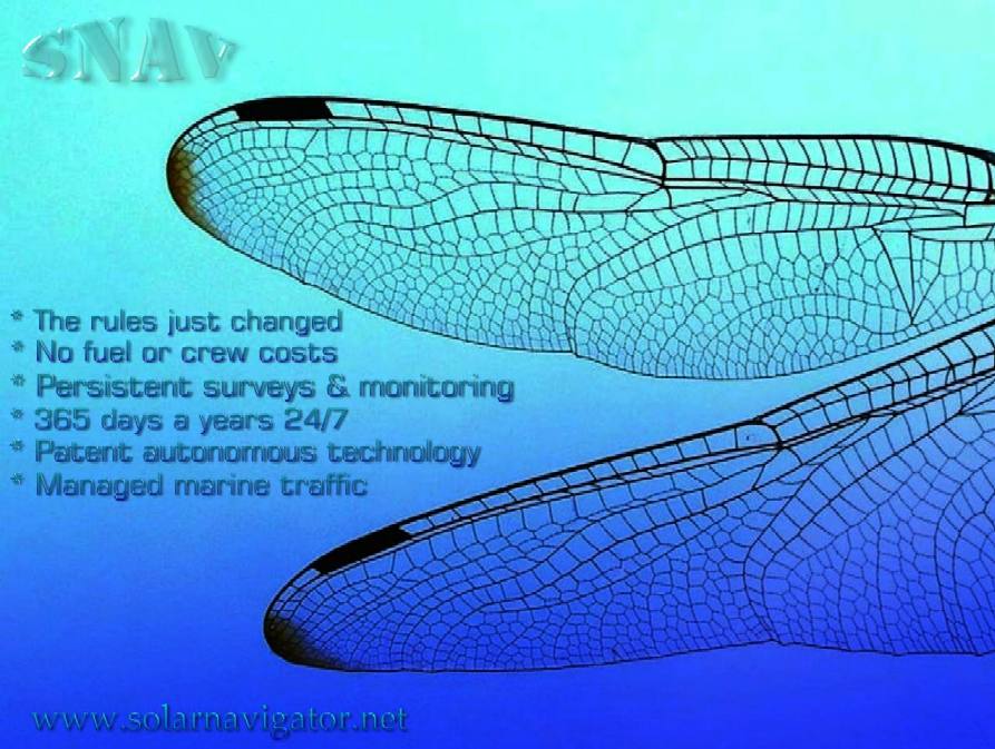 Dragonfly wings, mimicking nature, suntracker solar tracking