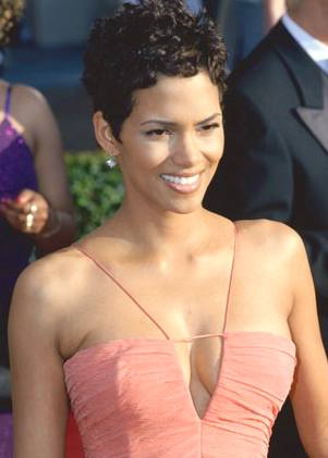 Halle Berry Short Hairstyles Pictures