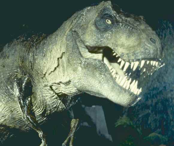 http://www.solarnavigator.net/films_movies_actors/actors_films_images/jurassic_park_tyranosaurus_rex.jpg