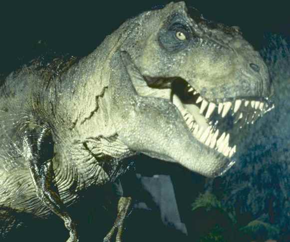 jurassic_park_tyranosaurus_rex.jpg