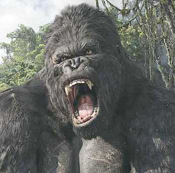 movies king kong