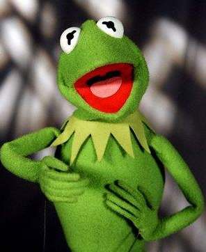 Kermit the Frog - famous puppet
