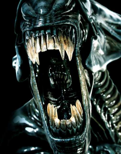 Alien And Aliens Films Trilogy Sigourney Weaver Nostromo