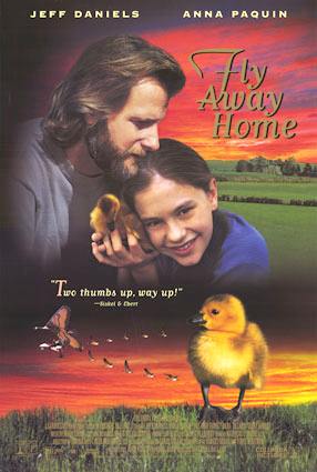 Fly Away Home dvd cover Jeff Daniels