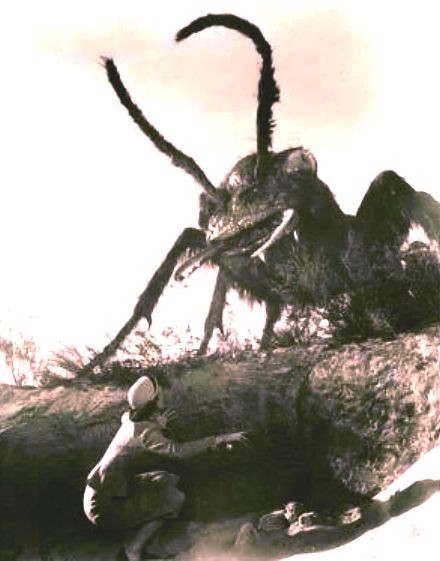 Them, 1954 movie about giant ant mutations