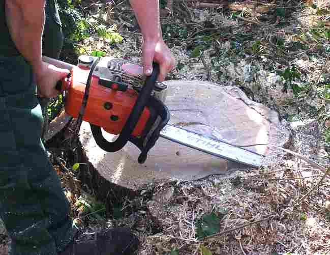 Gasoline (petrol) driven Stihl chain saw