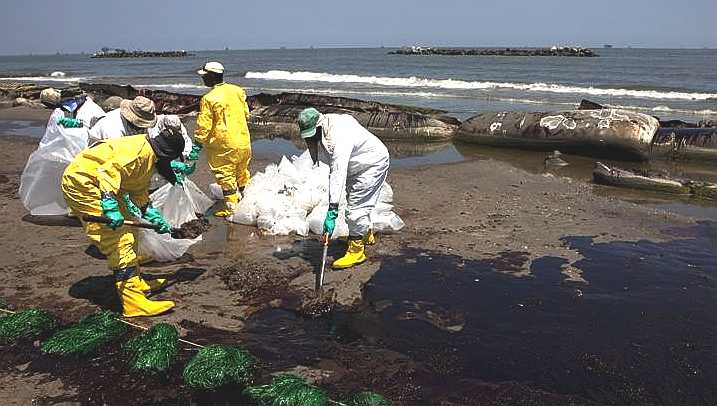 Shoreline oil pollution from BP's Deepwater Horizon