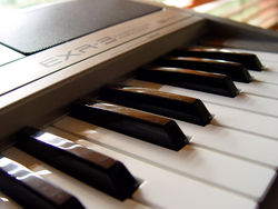 A Roland EXR-3 Arranger Keyboard