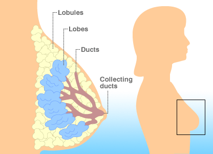 KYLIE MINOGUE BEATS BREAST images of breast. KYLIE MINOGUE BEATS BREAST