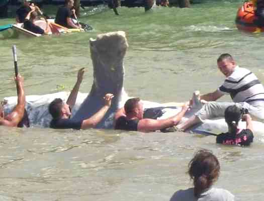 Shark raft capsizing, Kings night club Eastbourne team