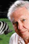 David Attenborough - Natural History
