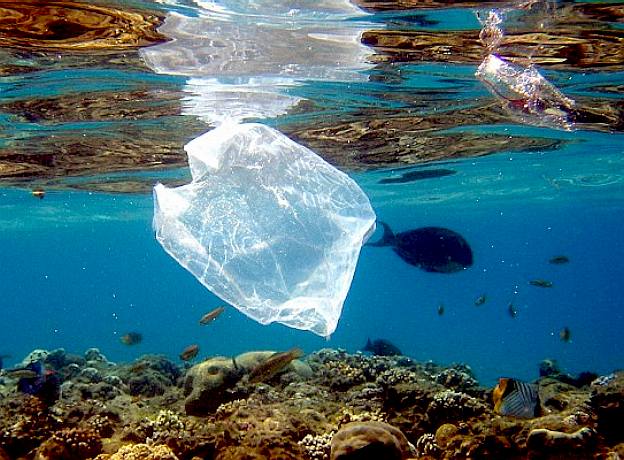 Plastic bag floating in the ocean