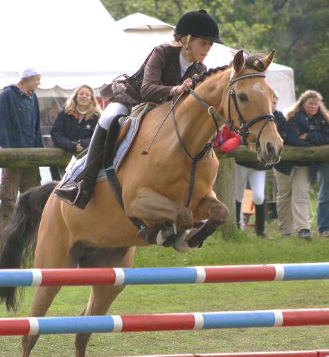 Equestrian_Sport_Show_Jumping_Baltic_Cup_Shannon_Mejnert_Sandy_horse.jpg