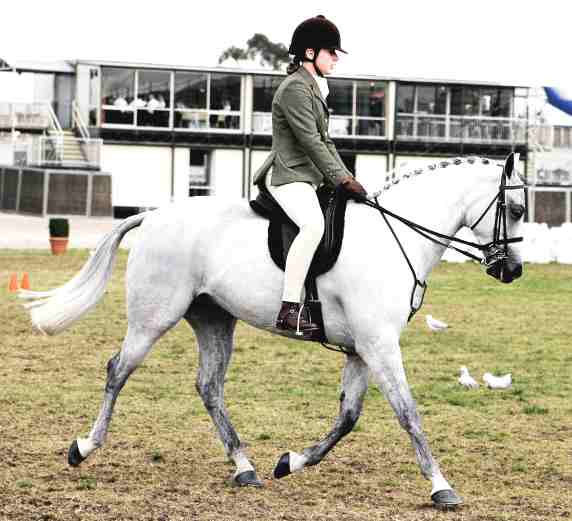 Horse_riding_Gymkhana_coca_cola_arena_melbourne_show_2005.jpg