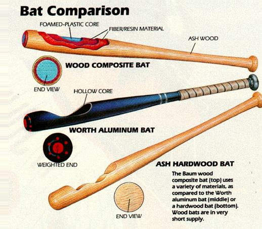 Baseball Bats Pic