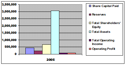 The Aran Investment Company Financial Summary chart 2005