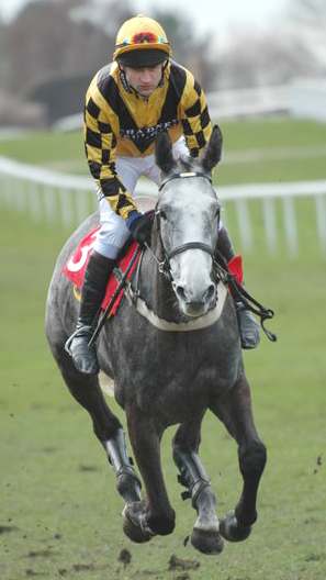 A horse racing at full gallop with all four feet off the ground