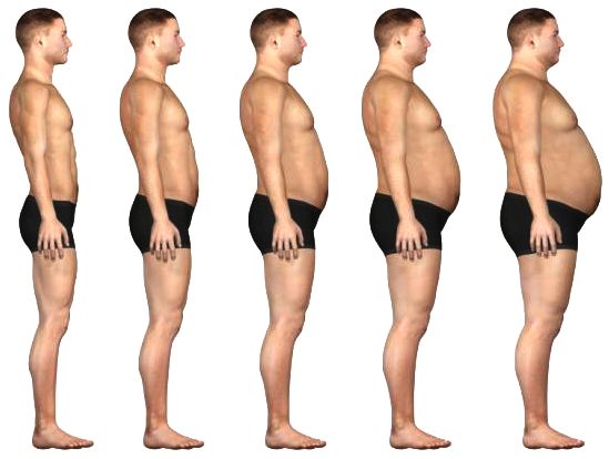 Normal phsique to obese, male growth chart