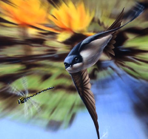 Painiting of a house marting chasing a dragonfly