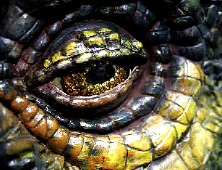 Dinosaur eye detail velocirapter reptilian features tyranosaurus