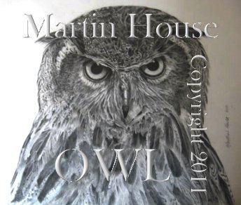 An original Owl pencil drawing by Martin House