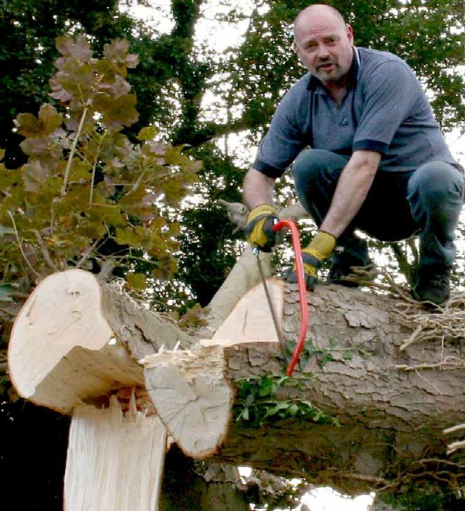 Nelson Kruschandl is at home working with and climbing in the  trees