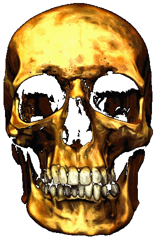 The Golden Skull, Blackbeard's pirate treasure island adventure
