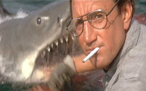 Jaws surfaces to shock Chief Brody