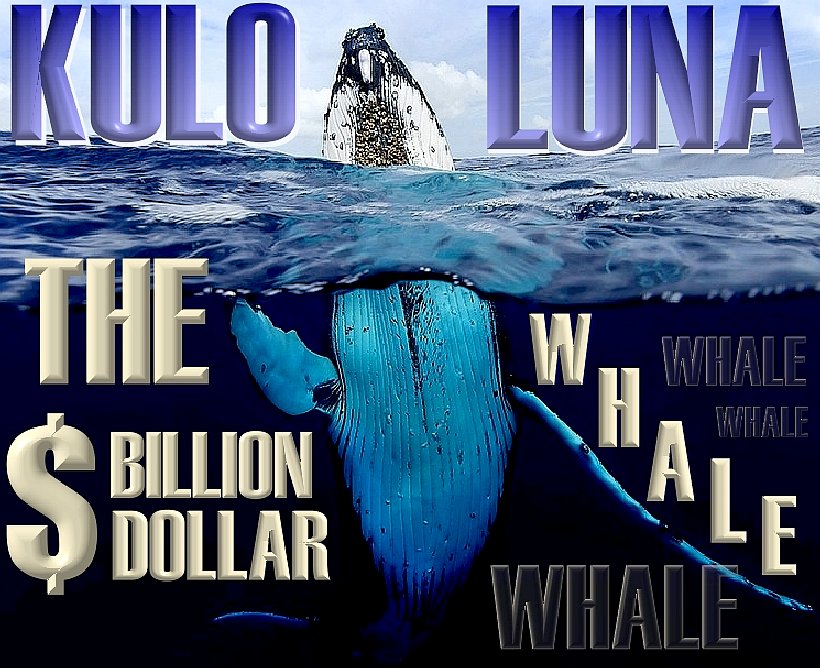 Kulo Luna - a film in the making for ocean awareness and saving the lives of whales