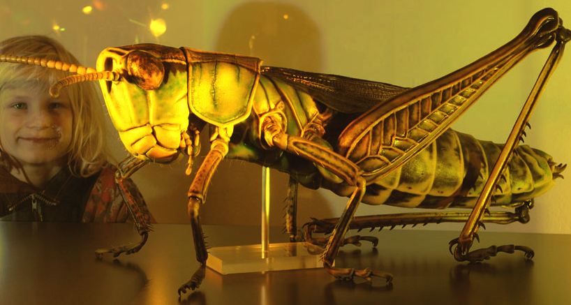 Giant insects - grasshopper model