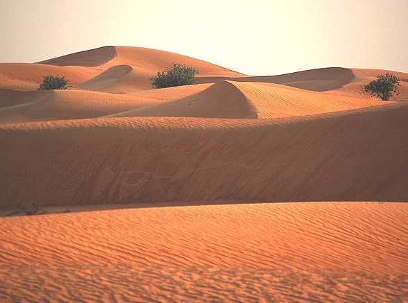 Dubai Margham desert sand dunes