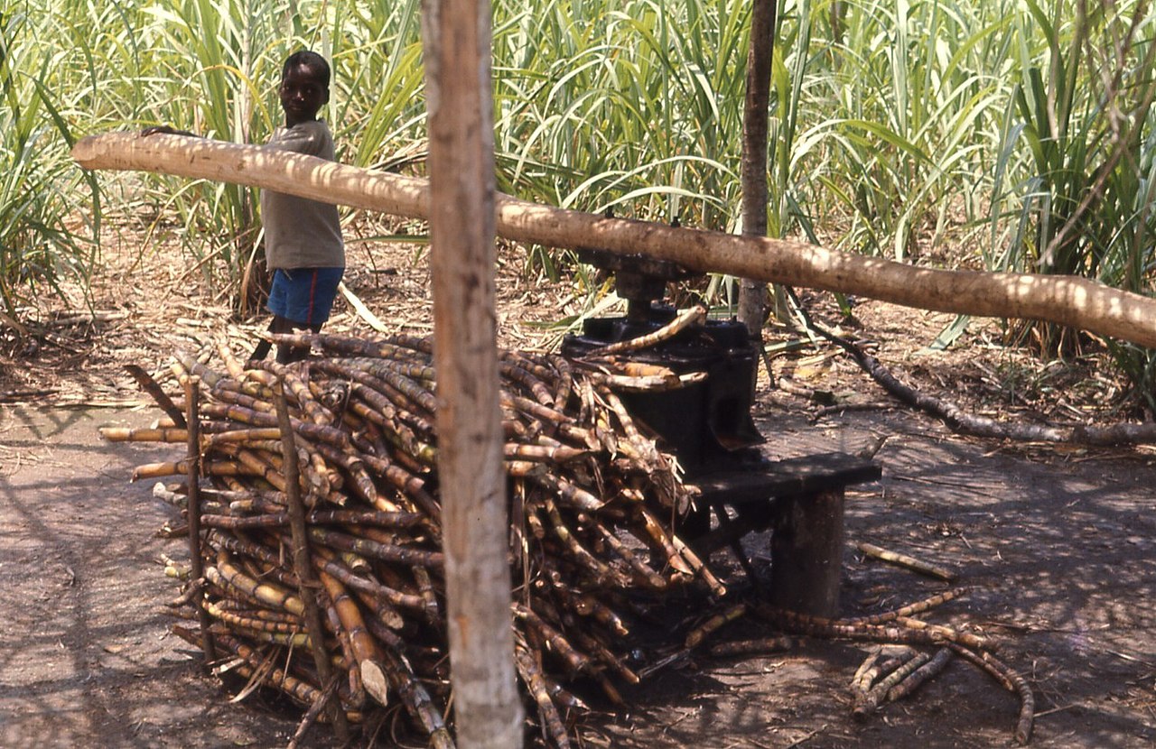 Agriculture in Liberia is a major sector of the country's economy worth 38.8% of GDP, employing more than 70% of the population and providing a valuable export for one of the world's least developed countries (as defined by the UN). Liberia has a climate favourable to farming, vast forests, and an abundance of water, yet low yields mean that over half of foodstuffs are imported, with net agricultural trade at -$73.12 million in 2010. This was dismissed as a "misconception" by Liberia's Minister of Agriculture.