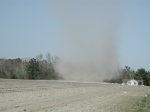 Whirlwind tornado dust devil in Johnsonville, South Carolina