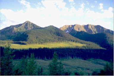 British Columbian forests