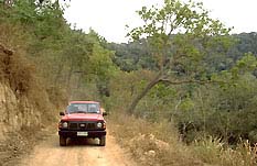 Dusty road from Cooktown to Tribulation