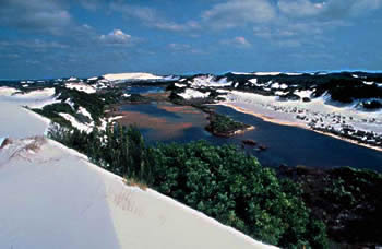 Cape York, Shelburne sand dunes