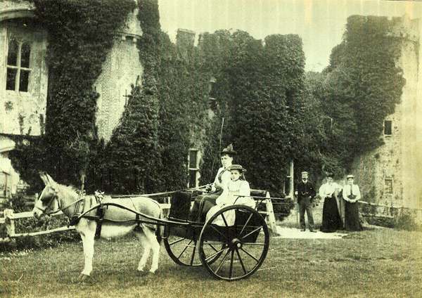 Popular transport at the time, a pony (donkey) and trap sets off from Herstmonceux castle