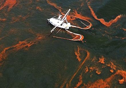 Study links fetal and newborn dolphin deaths to Deepwater Horizon oil spill