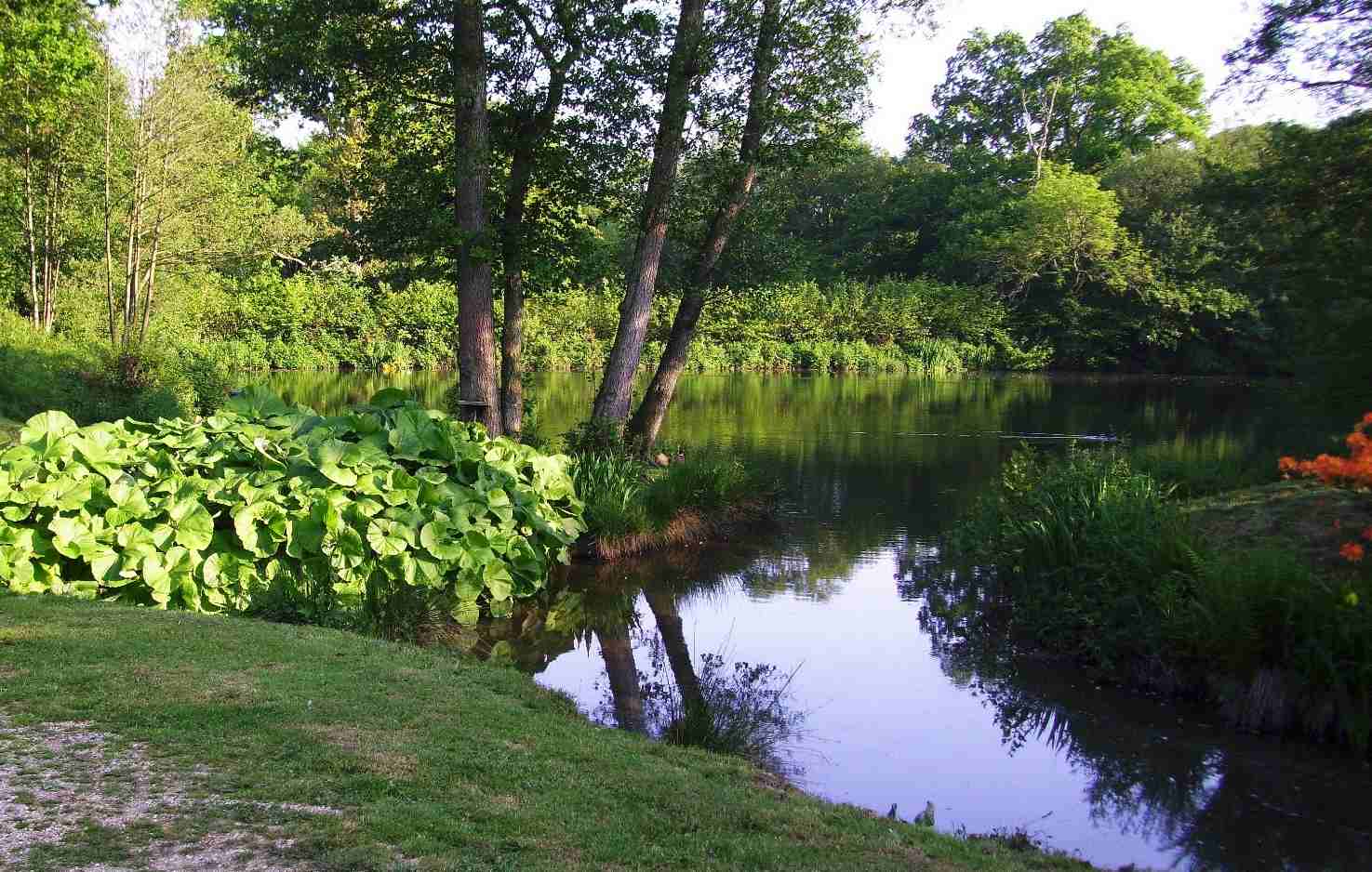 Picturesque lake in sussex used for fly fishing