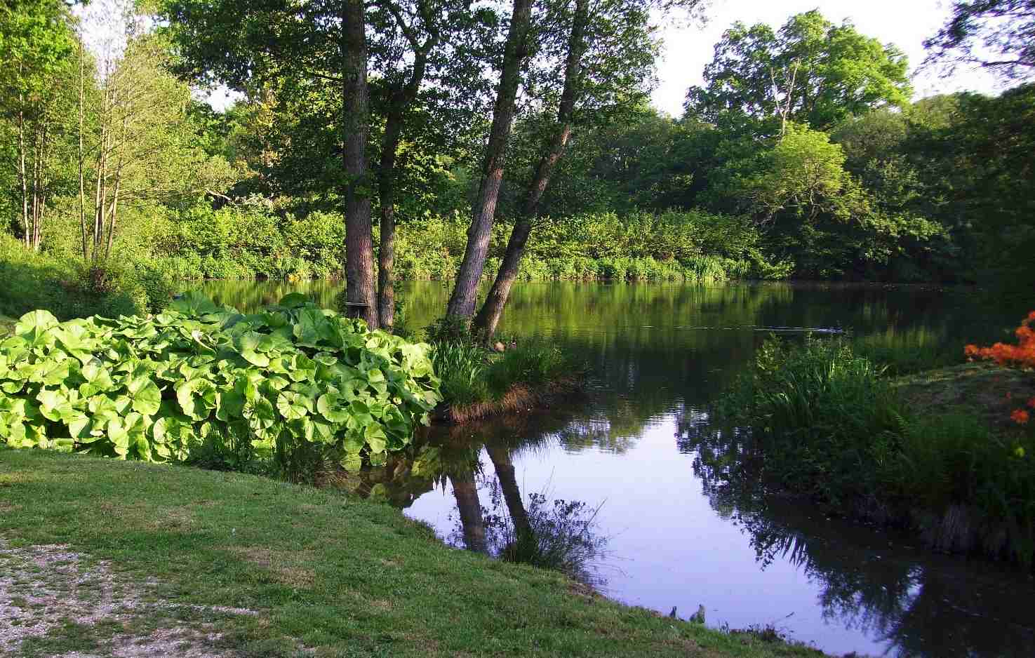 Picturesque lake in sussex