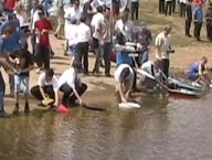 Electric Challenge