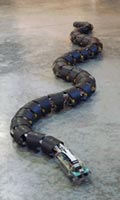 a robot snake