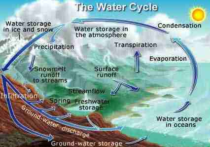 The water cycle