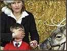 The Animal Au Pair Cutting Edge Channel Four